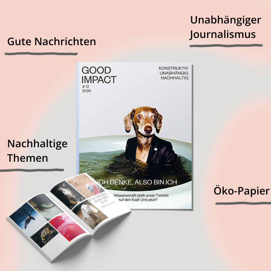 #12 – Ich denke, also bin ich